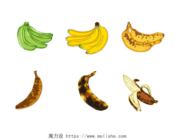 香蕉保鲜生长成熟变坏热带水果美味过程